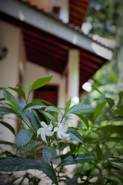 פולונרואה Binara Home Stay מראה חיצוני תמונה