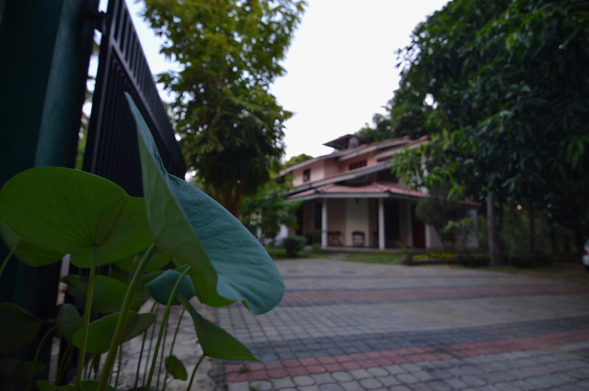 פולונרואה Binara Home Stay מראה חיצוני תמונה