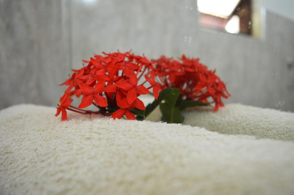 פולונרואה Binara Home Stay חדר תמונה