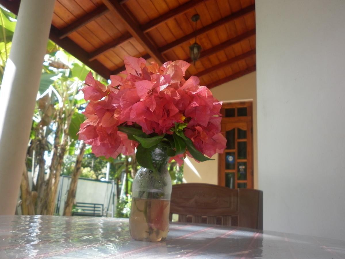 פולונרואה Binara Home Stay מראה חיצוני תמונה